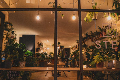 A friendly staff member advising a customer in a cozy, plant-filled consultation room.