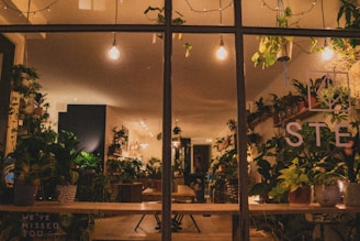 A cozy indoor space filled with lush greenery.