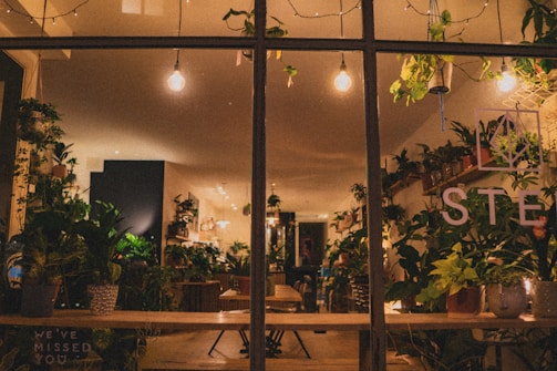 An indoor space filled with a variety of lush green plants. The room is warmly lit by incandescent bulbs hanging from the ceiling, creating a cozy and inviting atmosphere. The walls are adorned with more plants on shelves, and there is wooden furniture adding a rustic touch. The signage on the window suggests the name of the establishment.