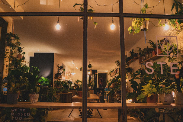 A warm, inviting skincare studio with soft lighting and natural plants.