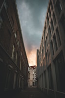 Beyond Compare 유저당 라이선스(Per-user license) 상업용도(Commercial) 병행 사용