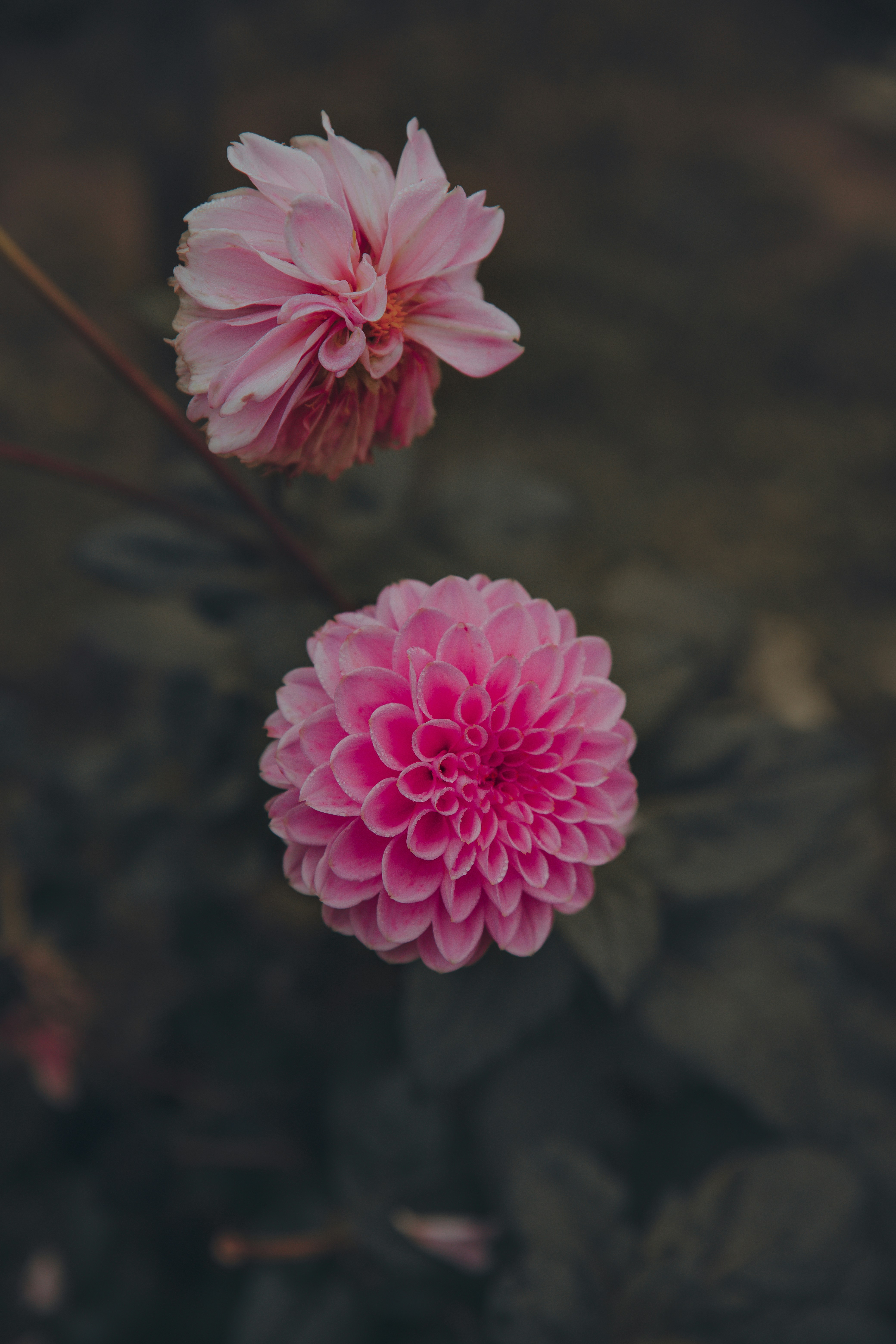 Photo by jusdevoyage
