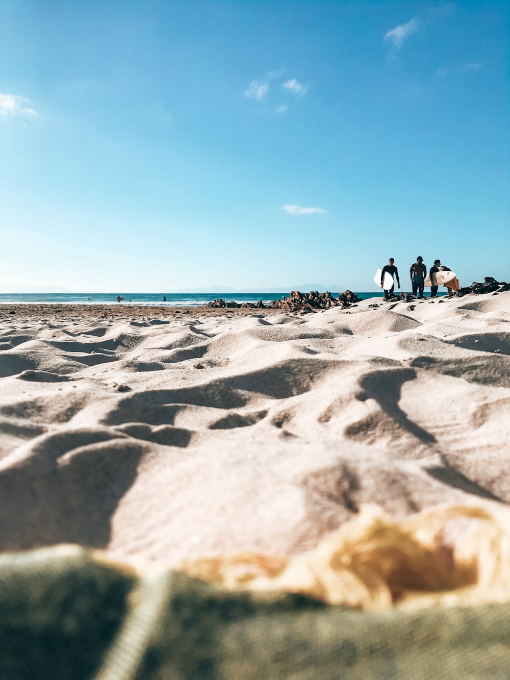 people on beach during daytime