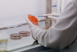 Microbiologist in Clia Laboratory