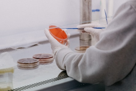 Seed Fundraising Rethink for AI-Driven Biotech