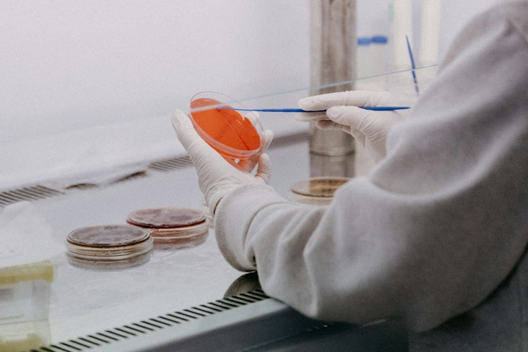 A researcher in a lab coat reviewing notes next to a laptop
