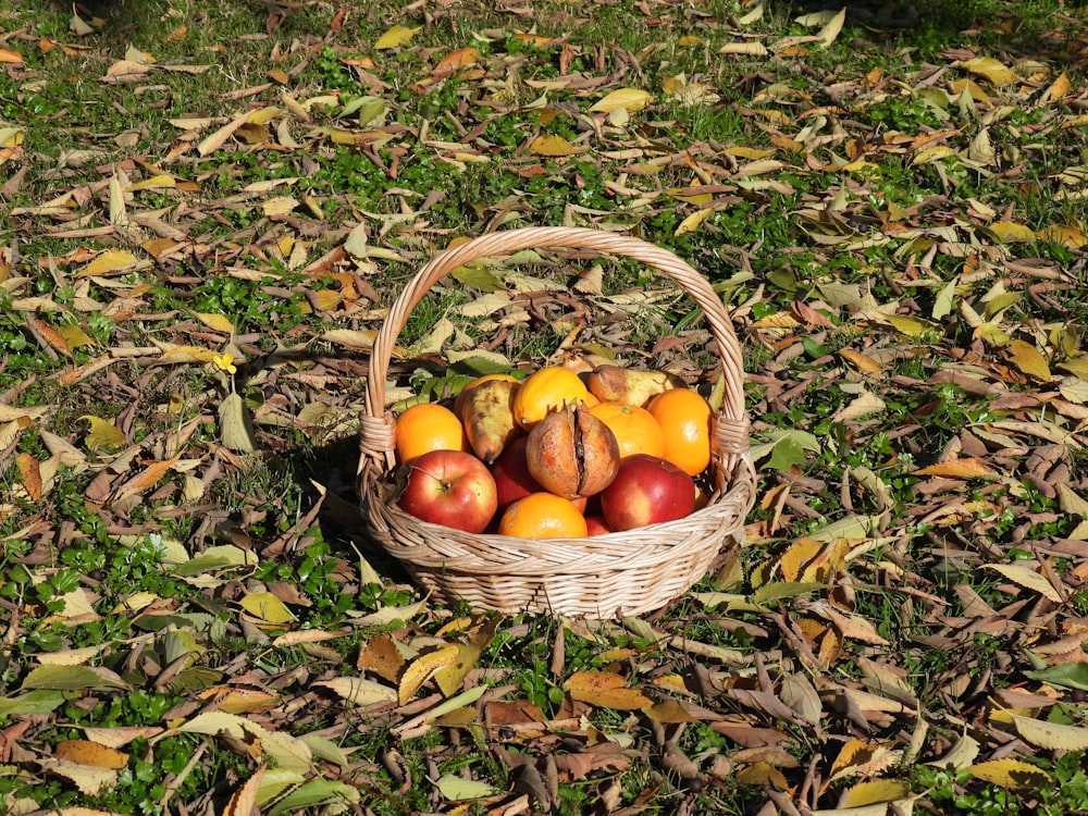 orange fruits in brown woven basket