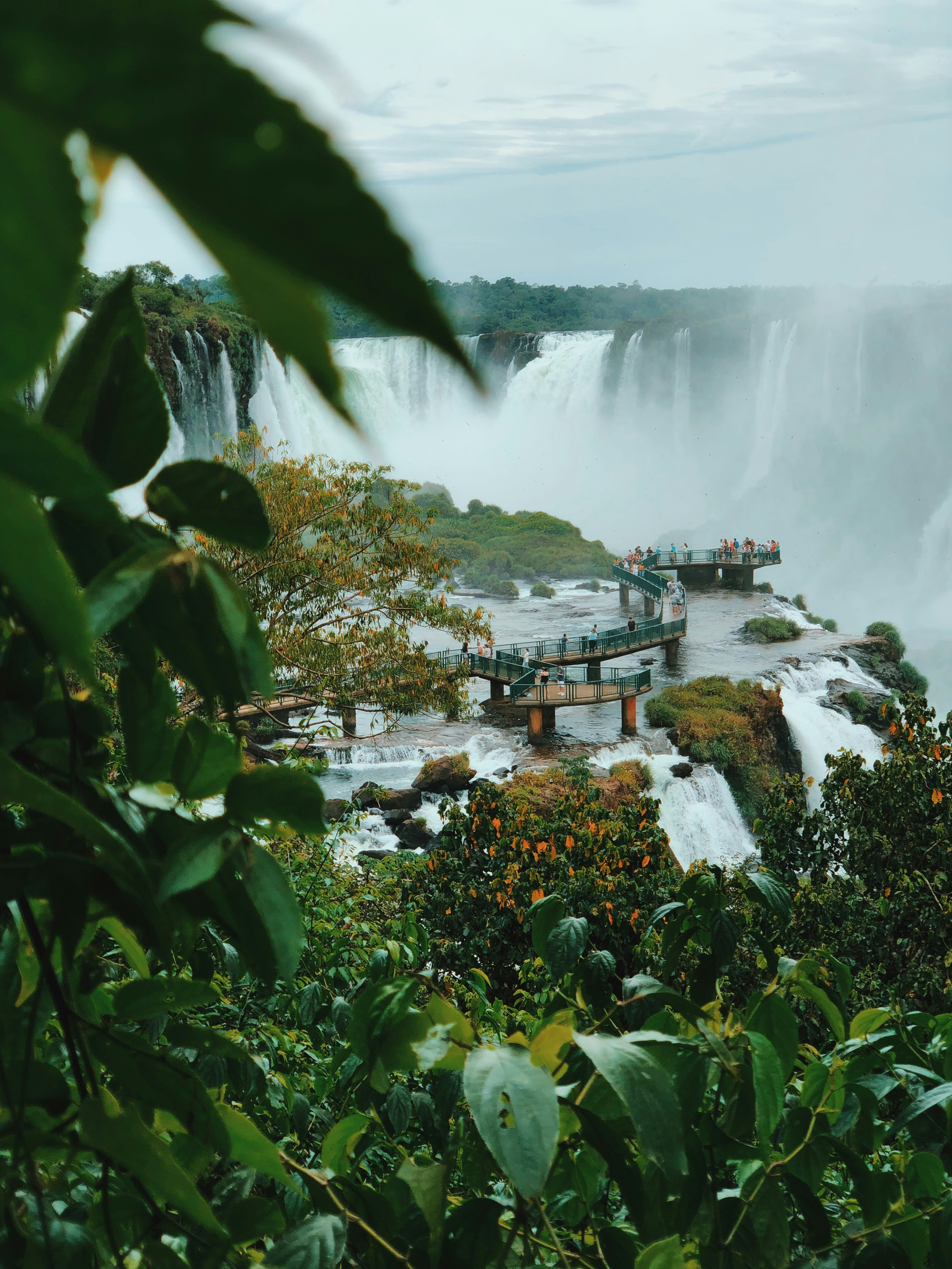 Forest and falling water at the Iguaçu Falls, Brazil