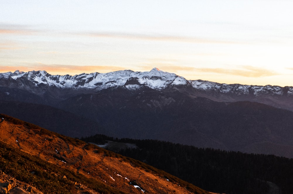 green and brown mountains under white sky during daytime