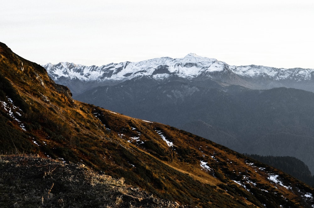 green and brown mountain under white sky during daytime