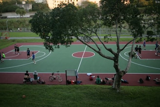 A basketball court with several people playing a game, surrounded by greenery and a large tree in the foreground. Spectators sit on the grass along the court's edge, some with bicycles nearby. Residential buildings are visible in the background.