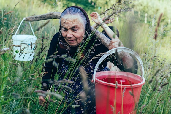 An elderly woman with a headscarf is carrying two buckets attached to a wooden yoke across her shoulders, walking through a field of tall grass. The scene appears to be rural and captures a moment of hard work and resilience.