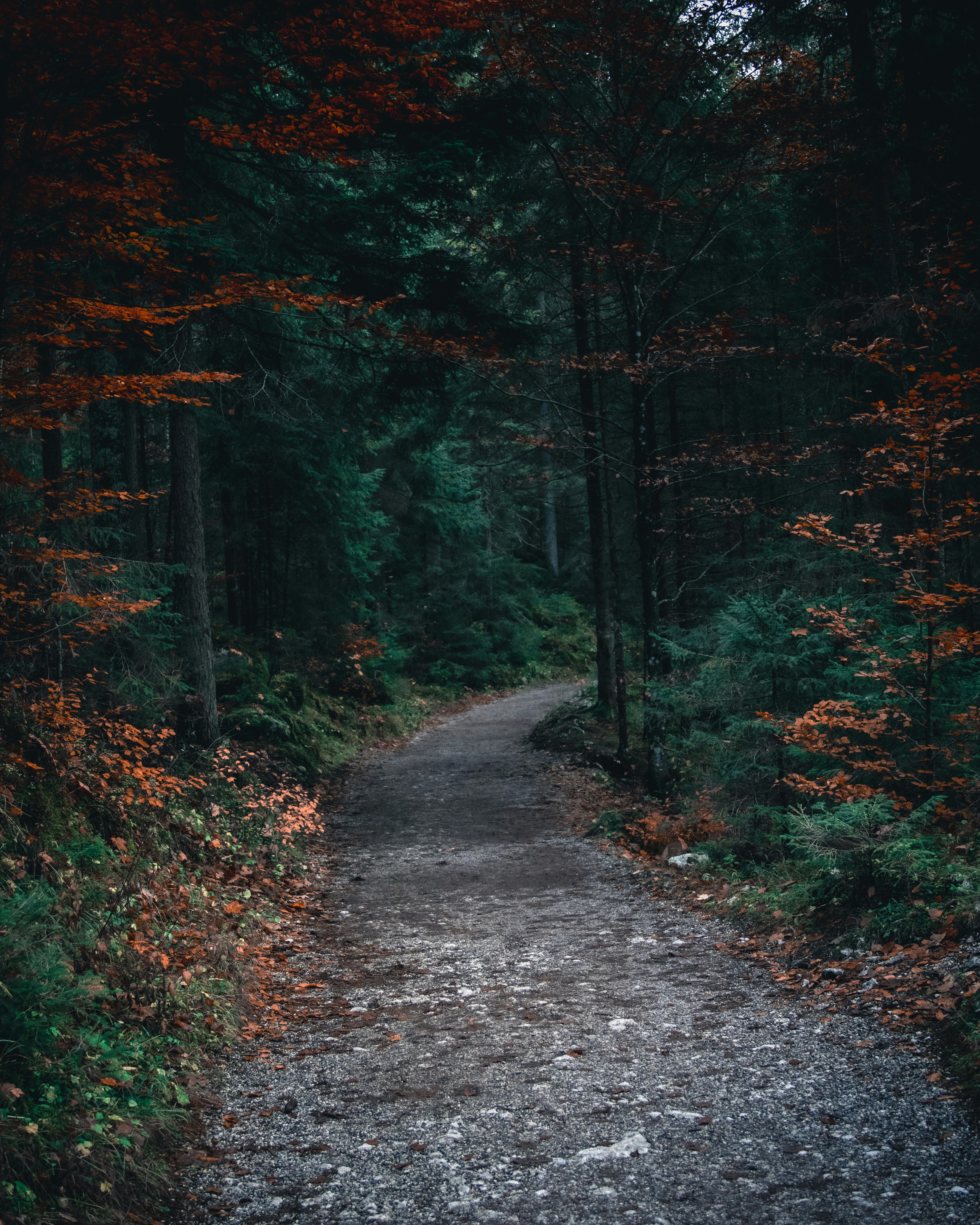 Photo by donnieraycrisp