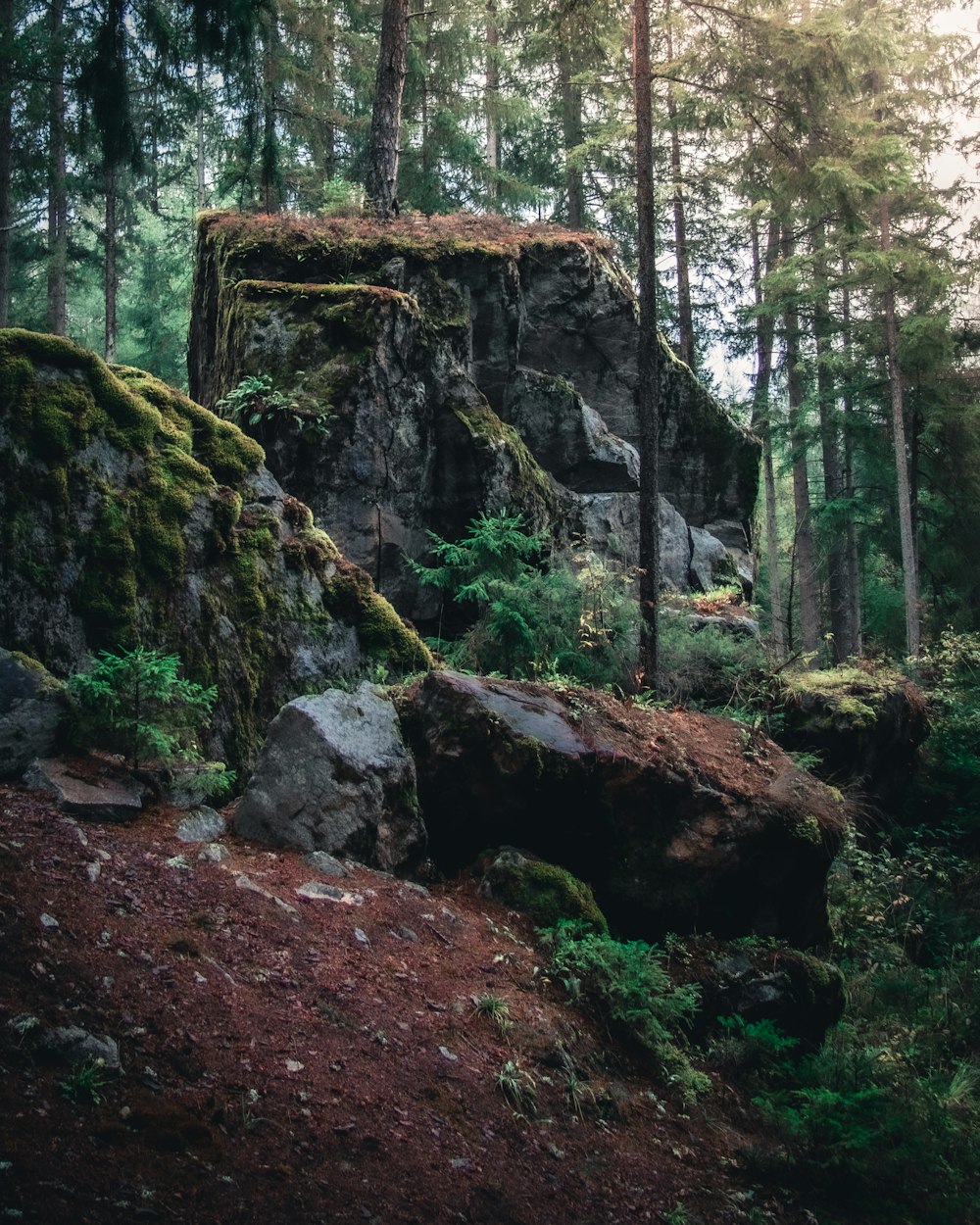 brown and green rock formation in forest during daytime