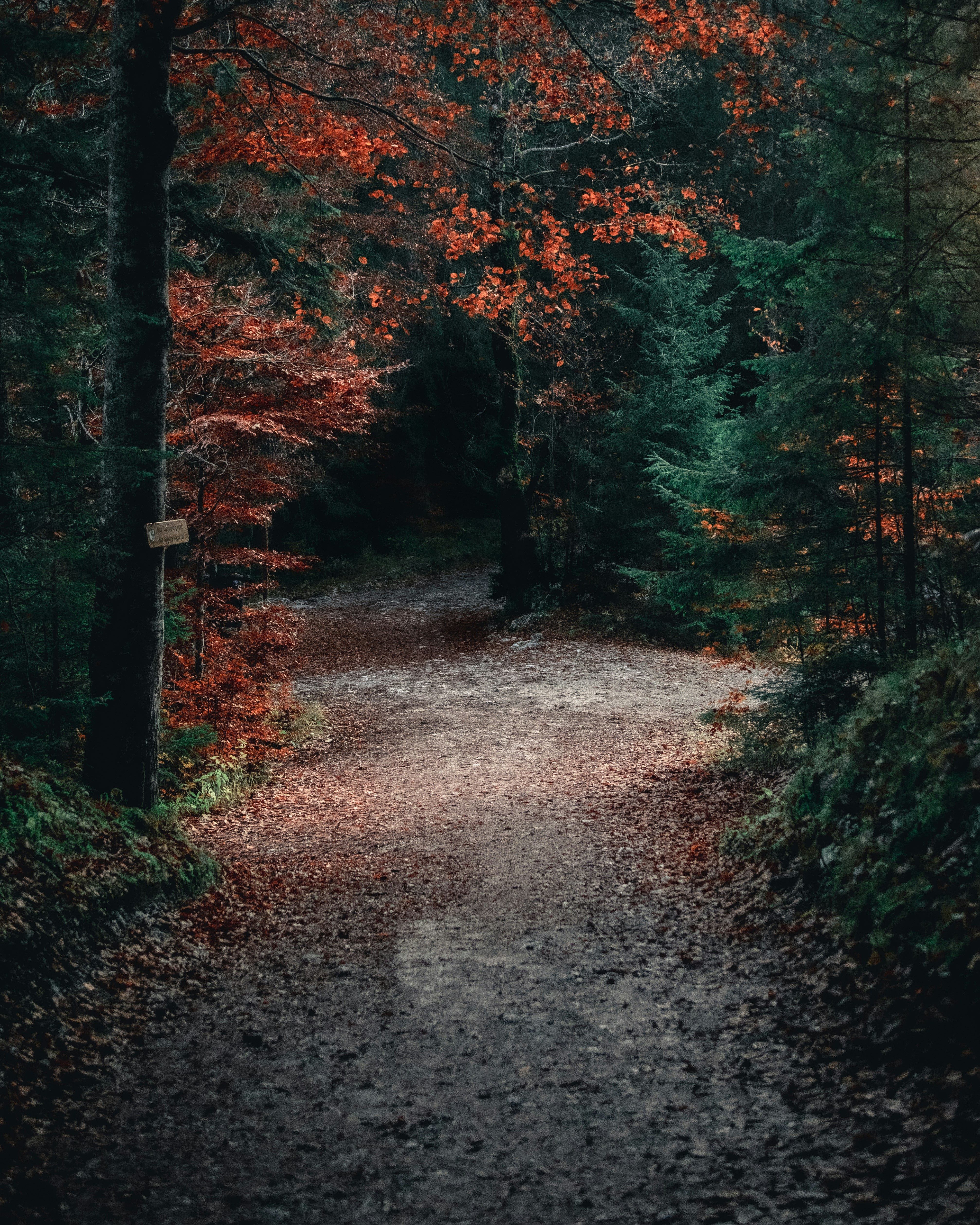 Photo by donnieraycrisp