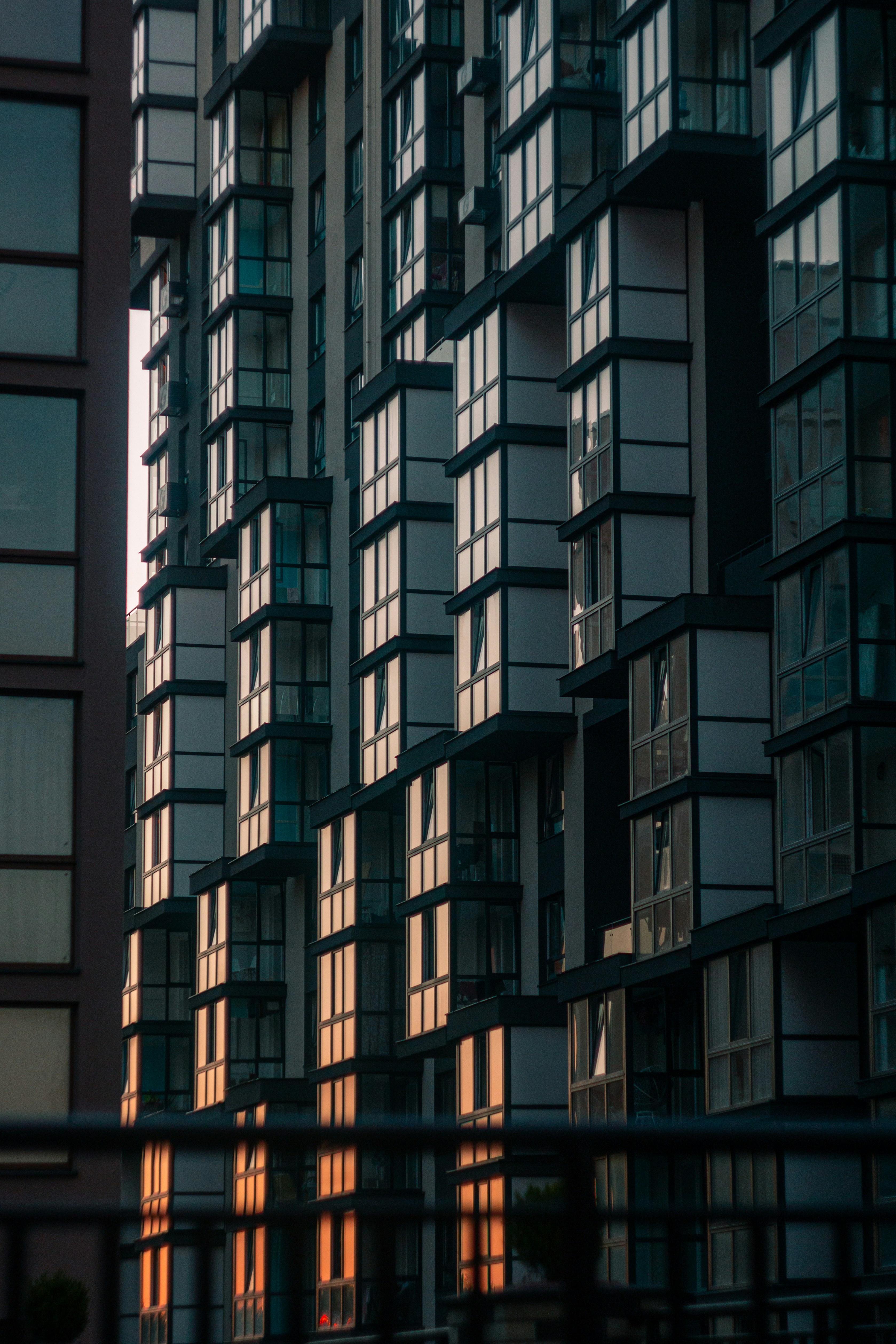 Photo by samoyedness