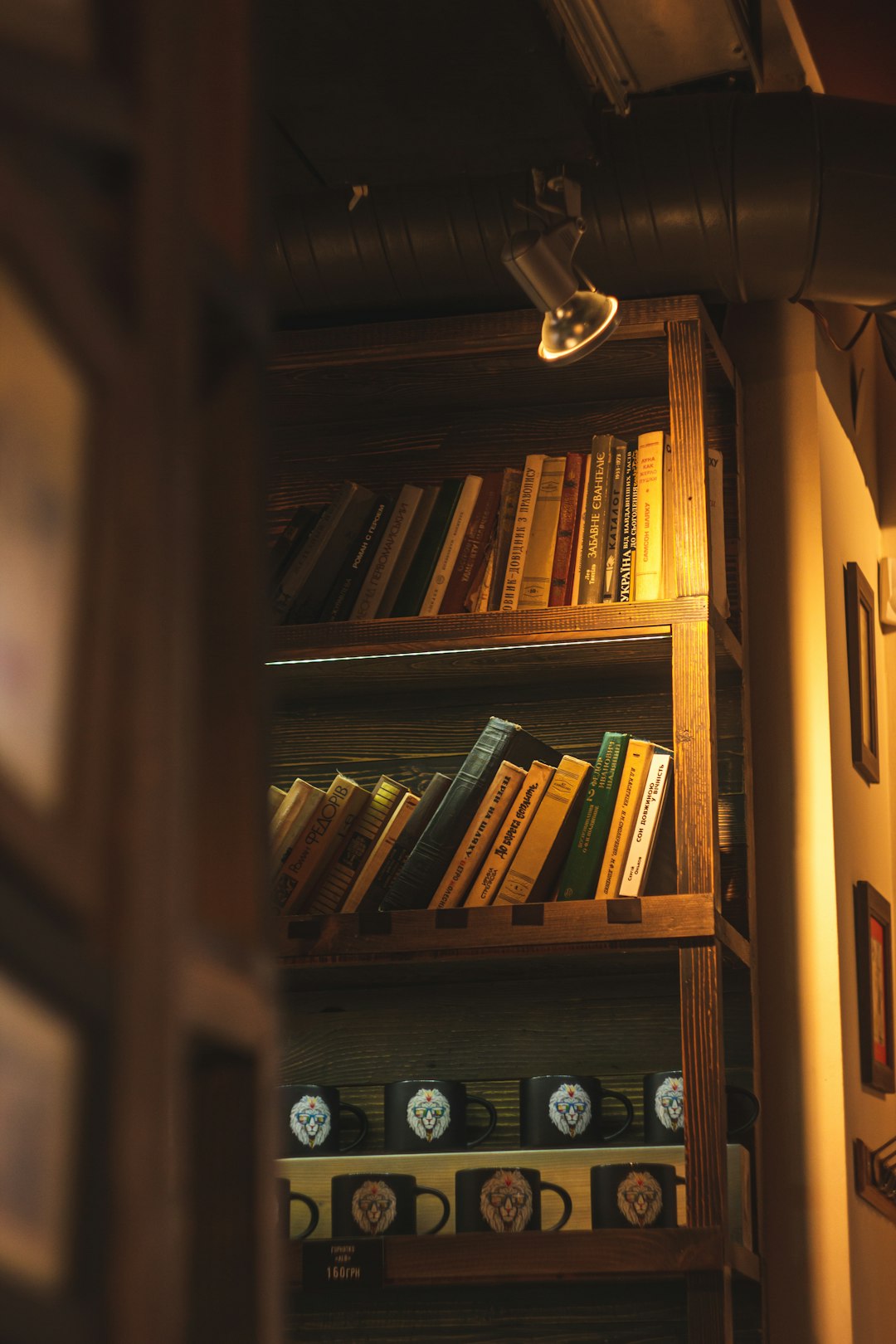 brown wooden book shelves with books