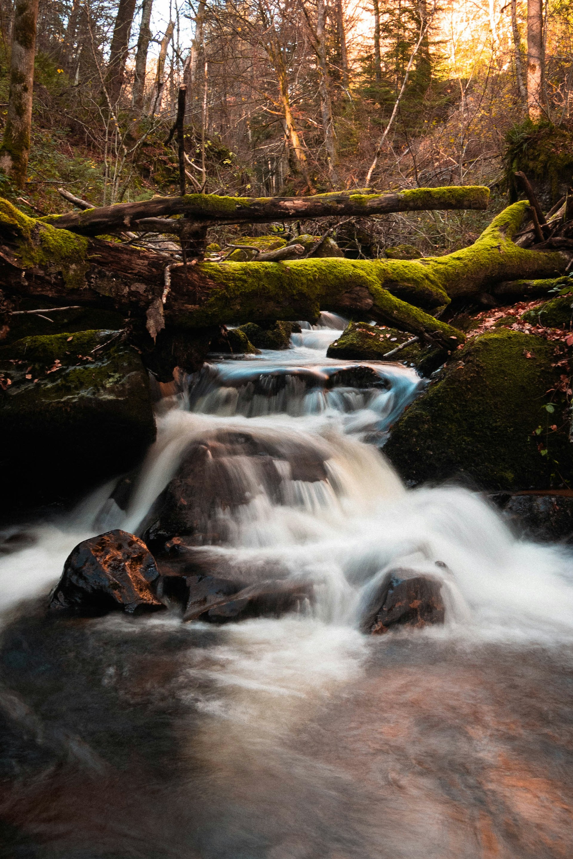 time lapse photography of water falls