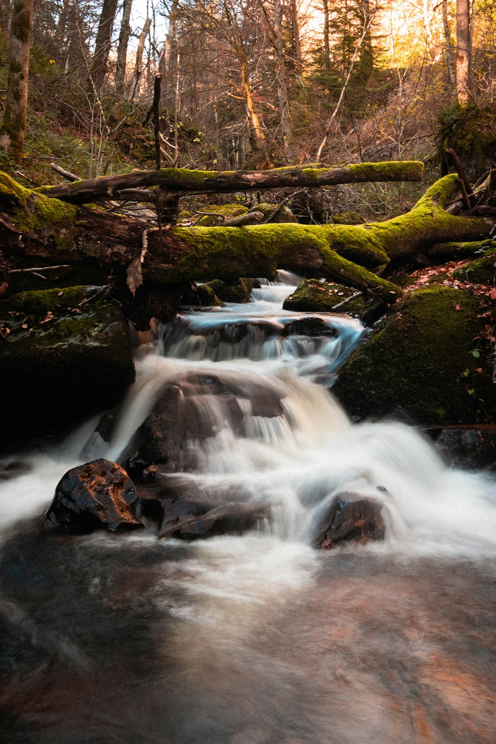 time lapse photography of water falls