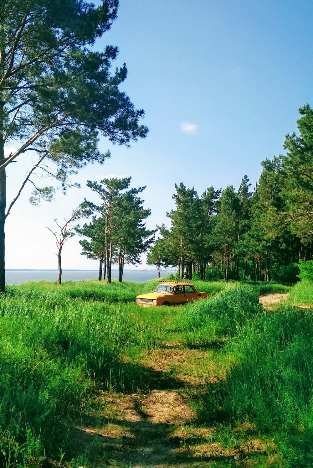 Grünes Grasfeld in der Nähe von Gewässern tagsüber