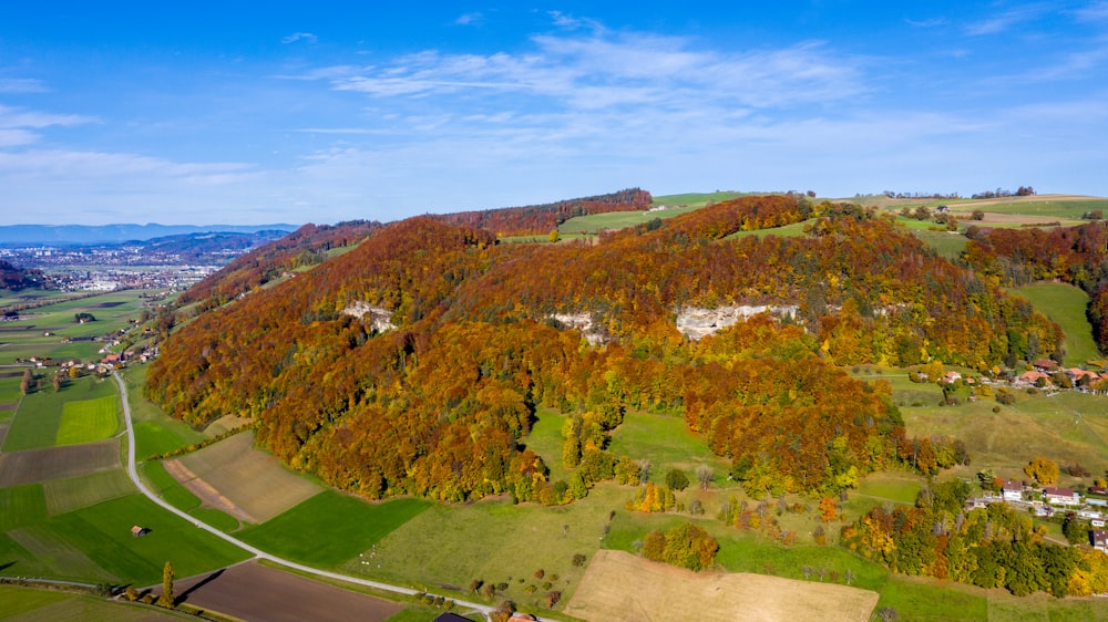 green trees on hill under blue sky during daytime