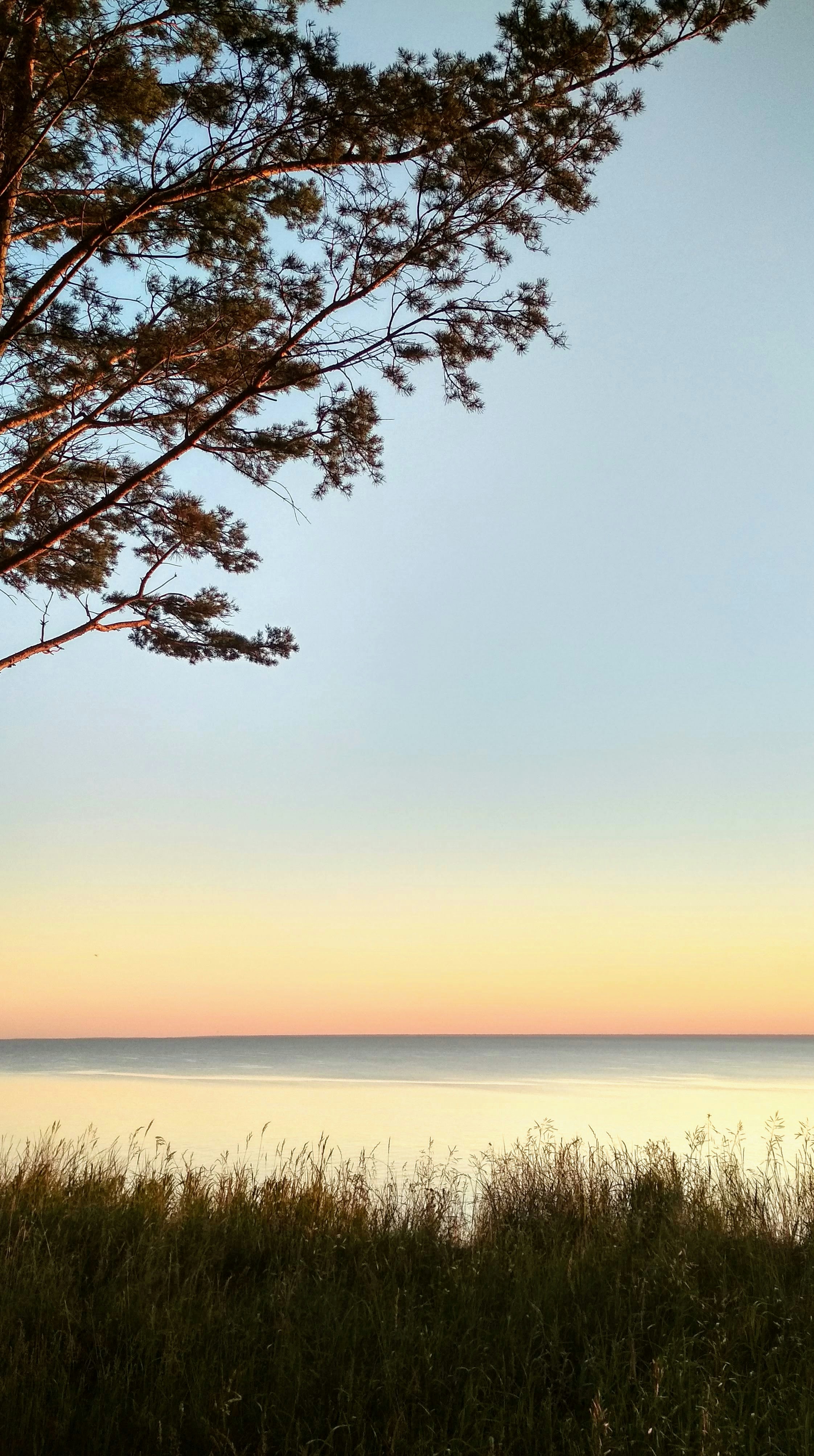 Photo by 28081995_love