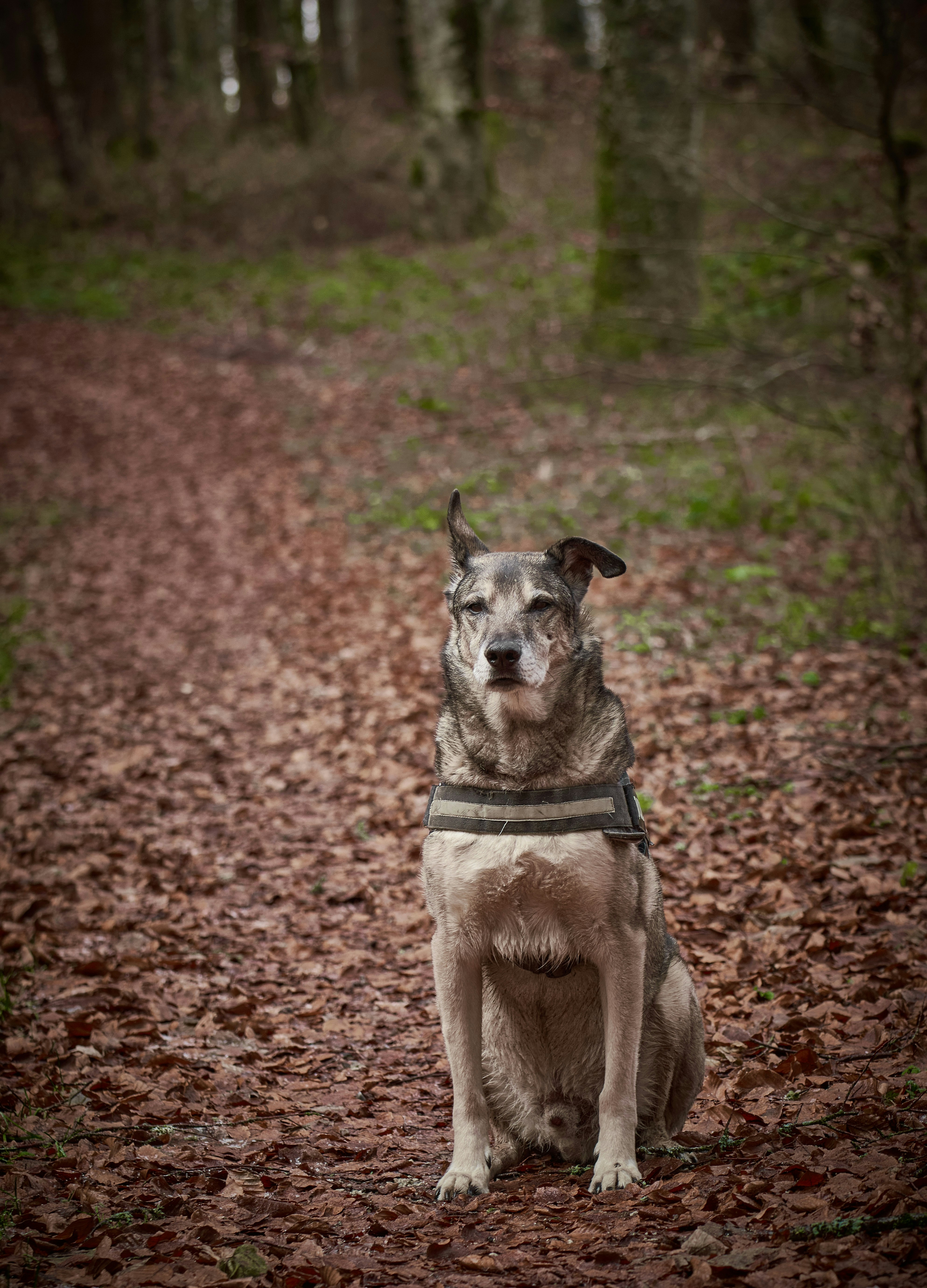 Photo by rolf_schmidbauer