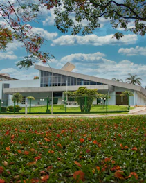 A modern architectural building with clean lines surrounded by greenery under a bright sky.