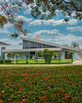 Institutional building with clean architectural lines surrounded by greenery.