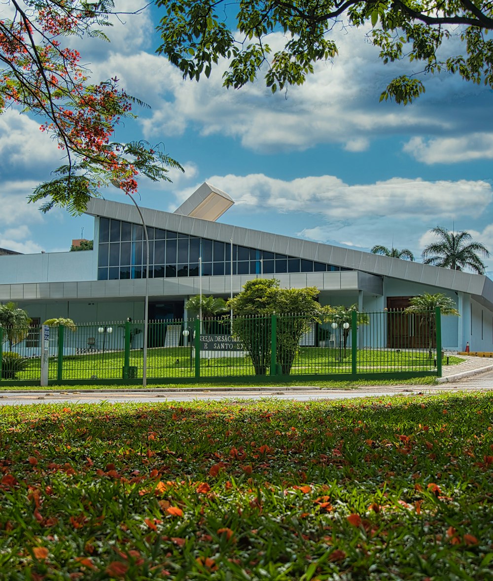 green and red trees near white building during daytime