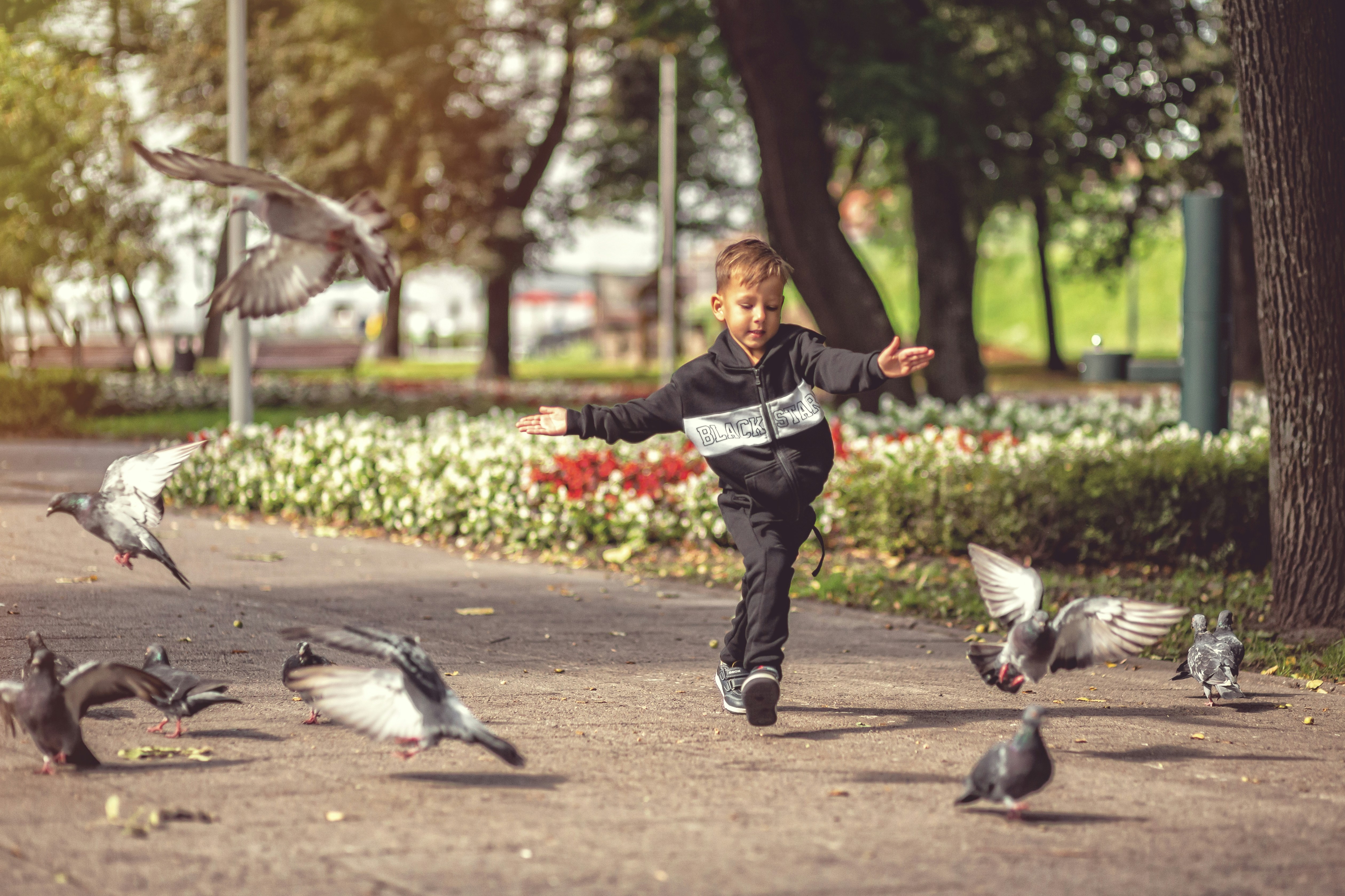woman in black jacket and black pants with gray and white bird on her right hand