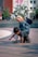 Two children are playing outdoors on a paved surface. One child wearing a polka dot scarf is sitting on the back of the other child, who is crawling on the ground. There is a background of steps, trees, a building with colorful wall art, and other people in the distance.