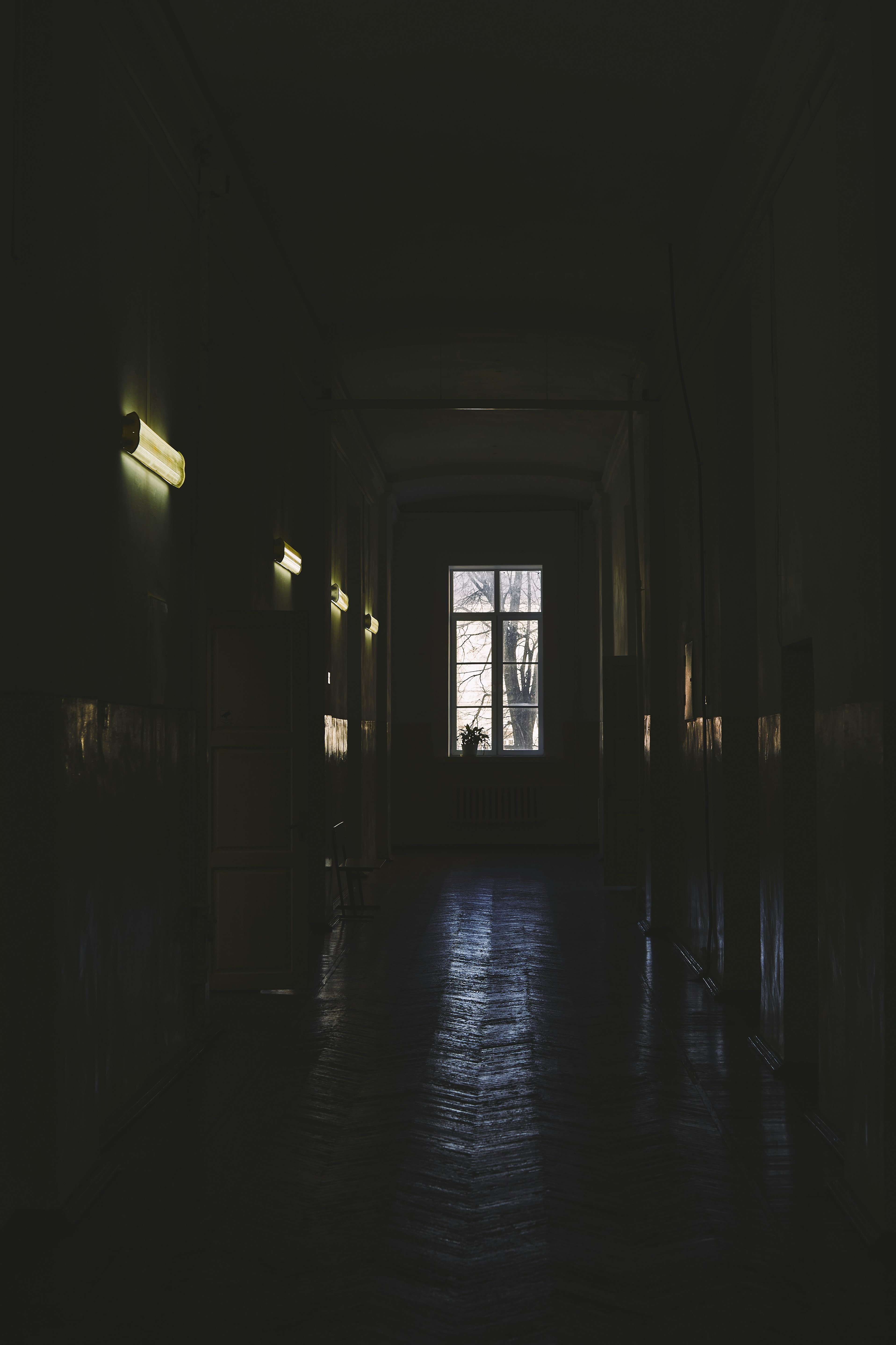 暗い部屋で茶色の木製のドアの写真 Unsplashで見つけるグレーの無料写真