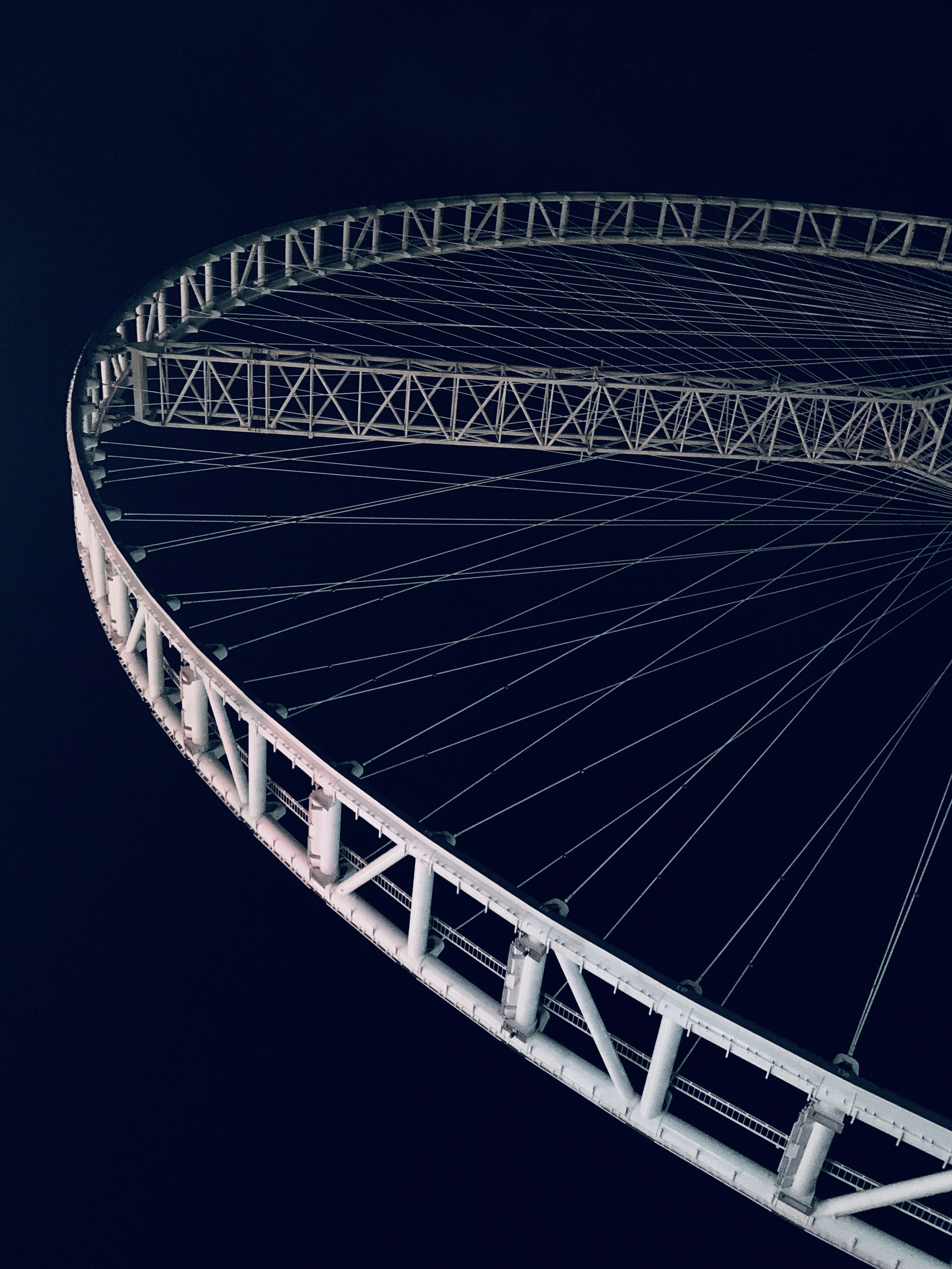 blue and white ferris wheel