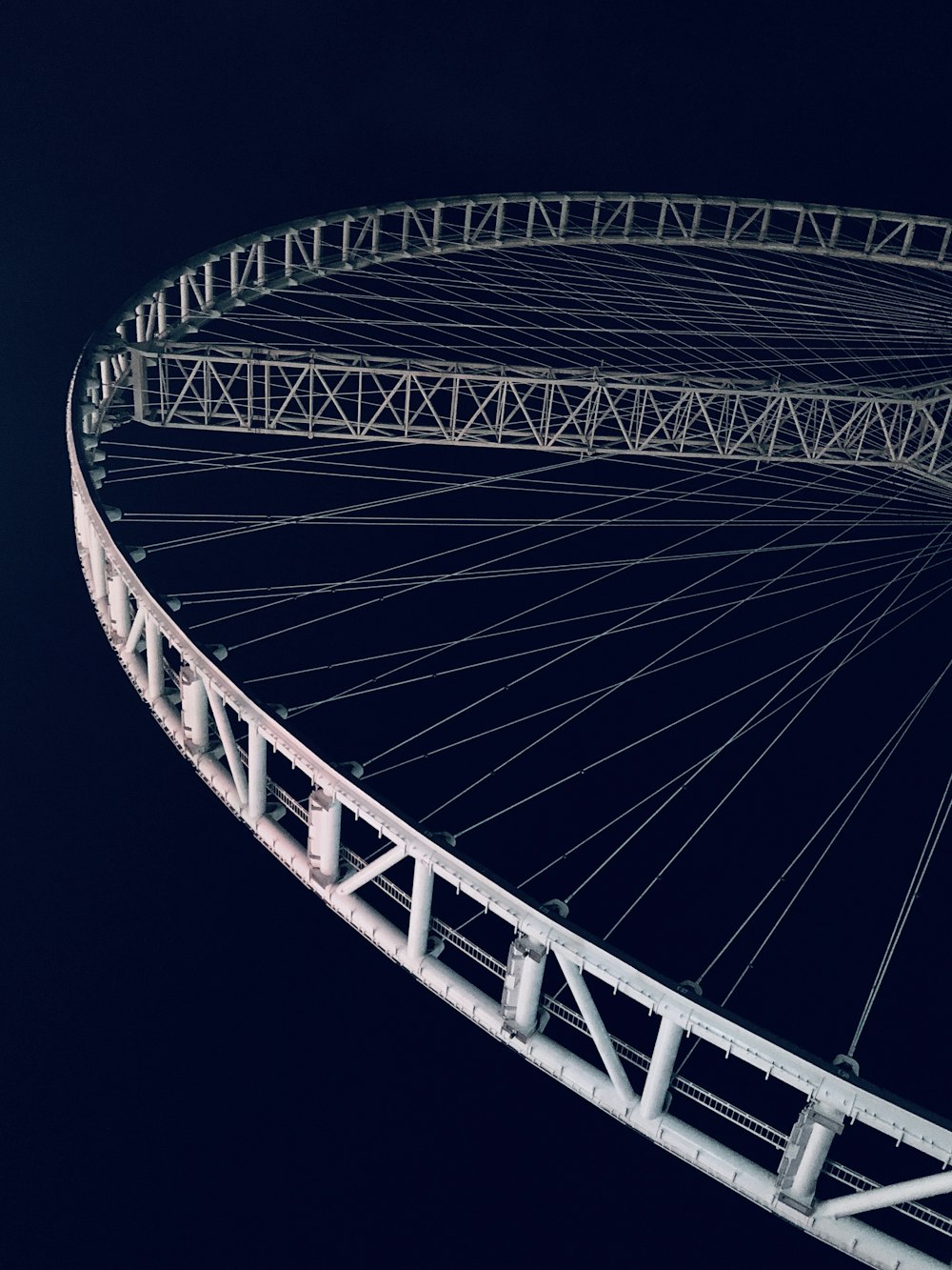 blue and white ferris wheel