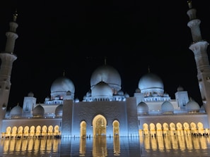 white and black dome building