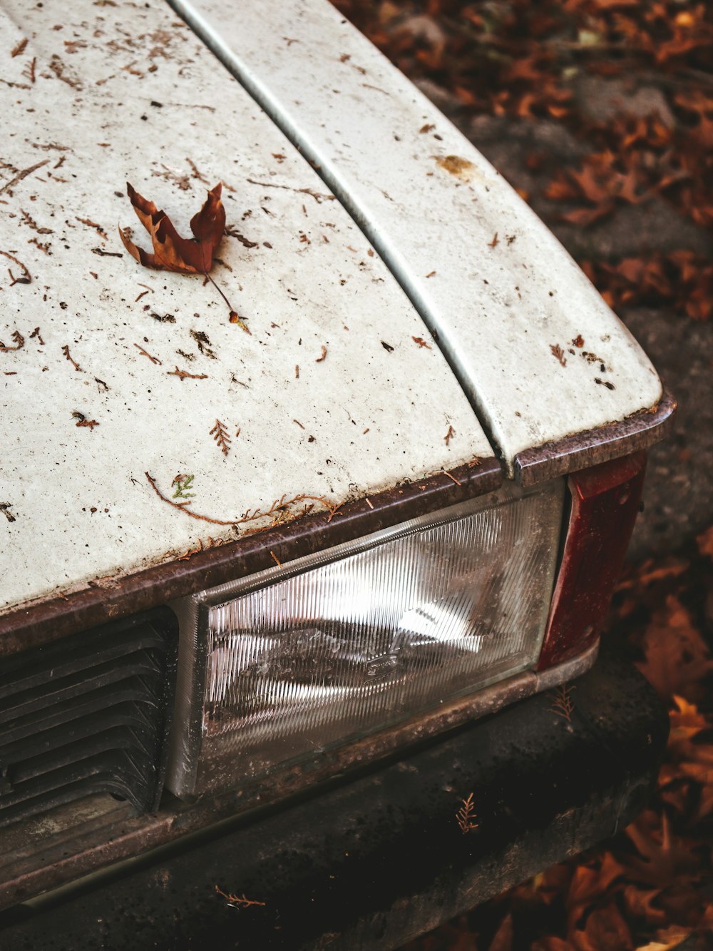 brown and white car with brown and black butterfly on top