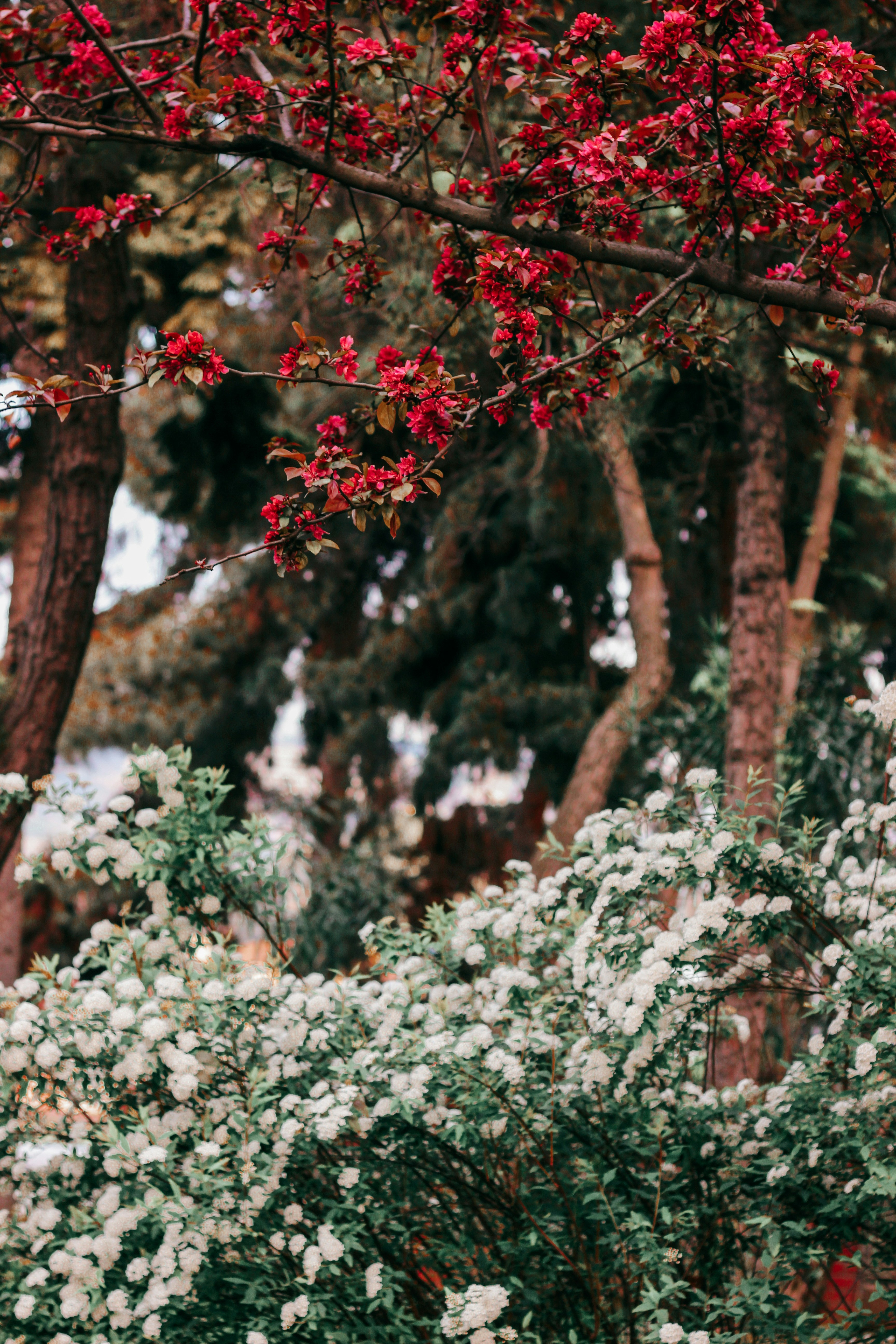 Photo by fatmanursimsek