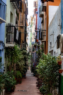 A narrow alleyway lined with colorful buildings featuring balconies and window shutters. Potted plants and greenery decorate the pathway, creating a charming and inviting atmosphere. The architecture has a rustic, Mediterranean style with warm tones and vibrant colors.