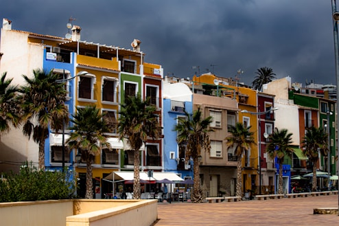 white and brown concrete building near palm trees during daytime