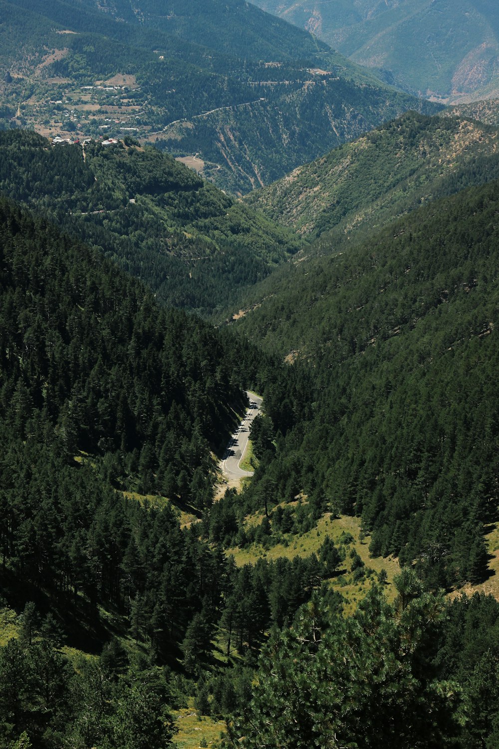 árboles verdes en la montaña durante el día