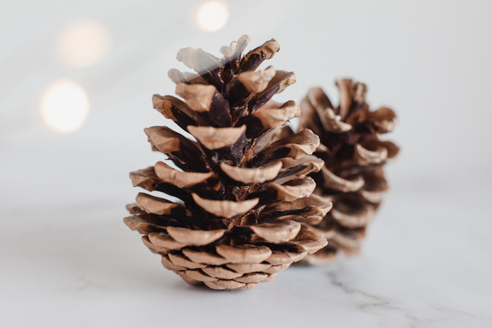 brown pine cone on white table