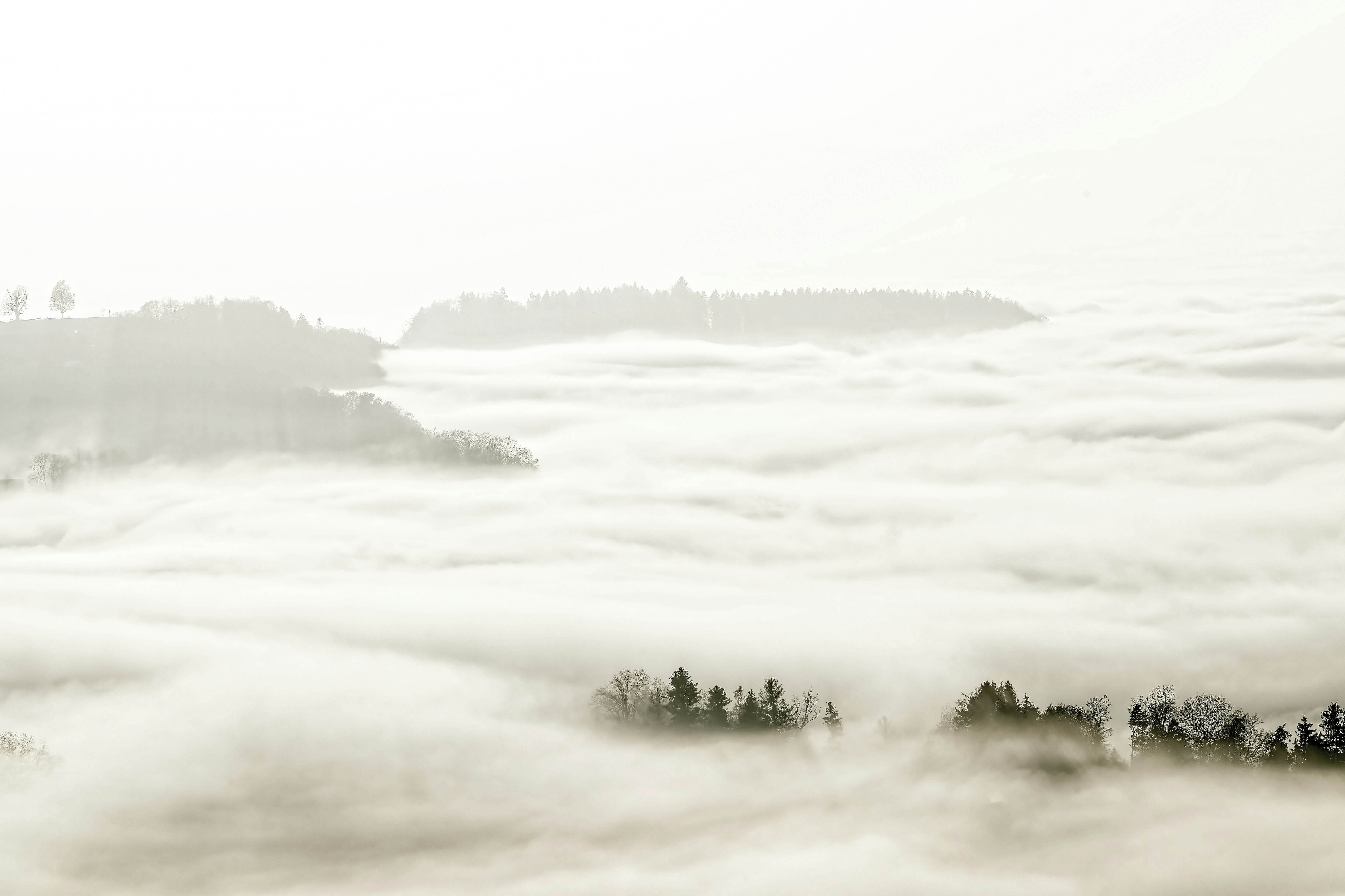 Photo by rgaleriacom