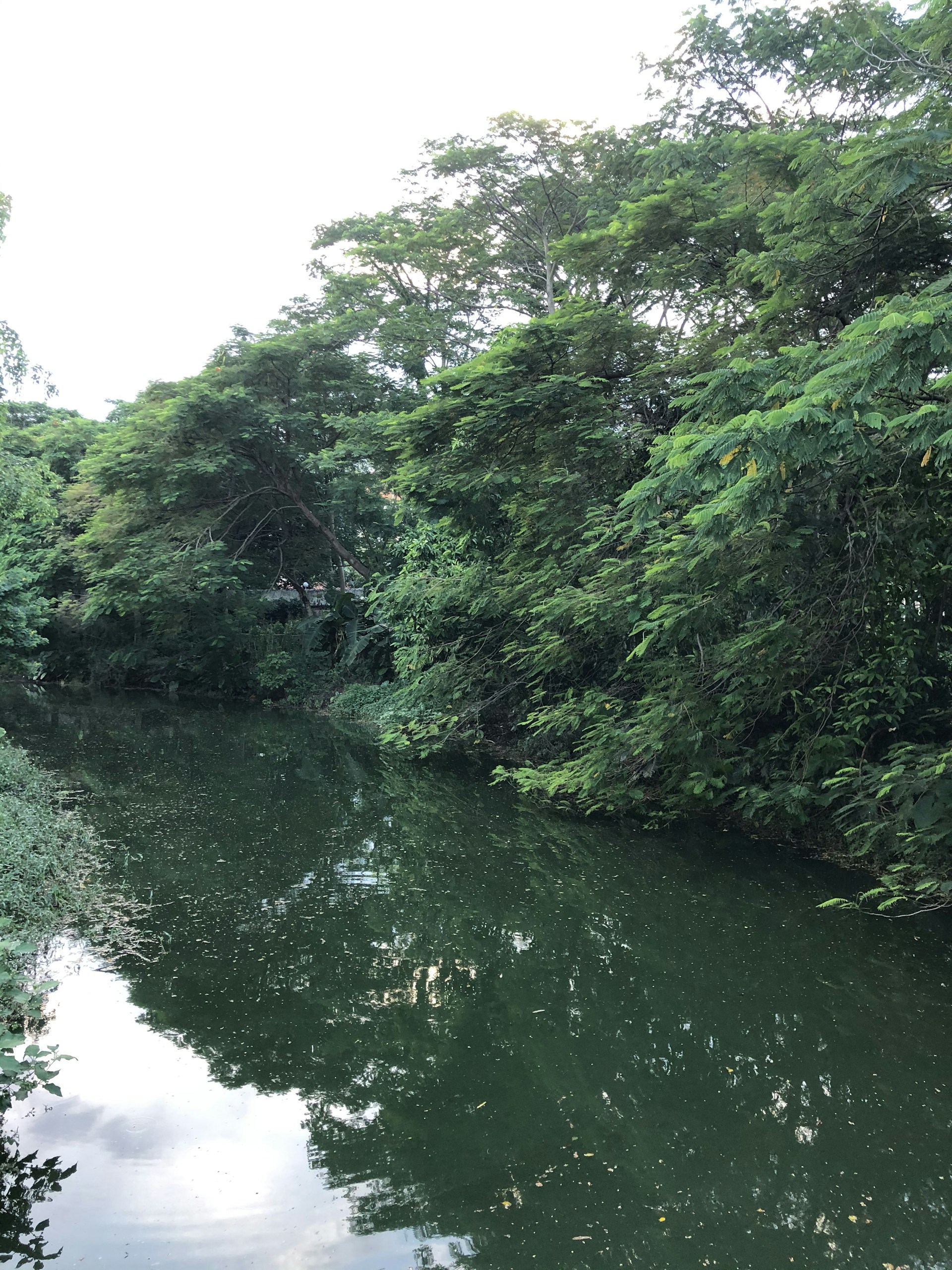 woman wearing yellow long-sleeved dress under white clouds and blue sky during daytime