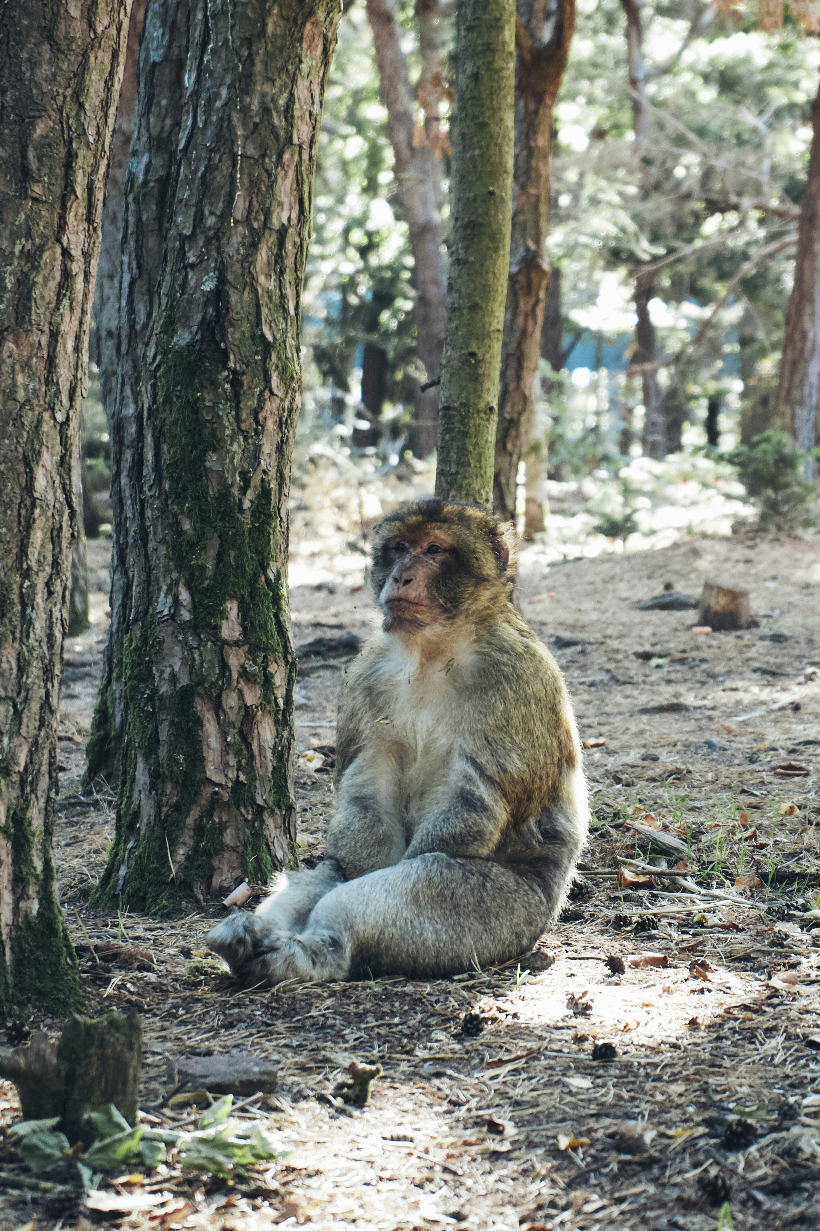 Photo by guillaumeissaly29