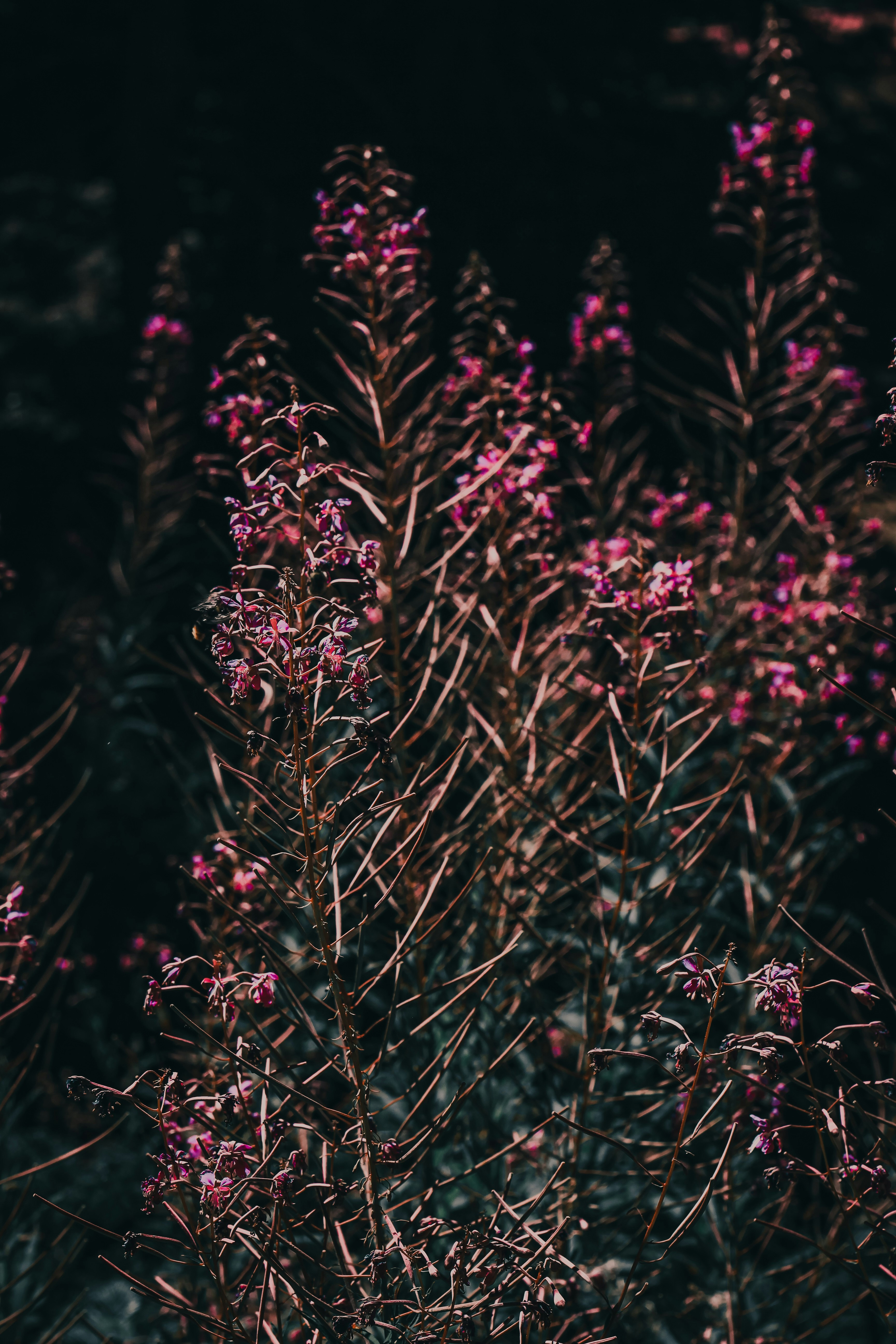 Photo by fatmanursimsek