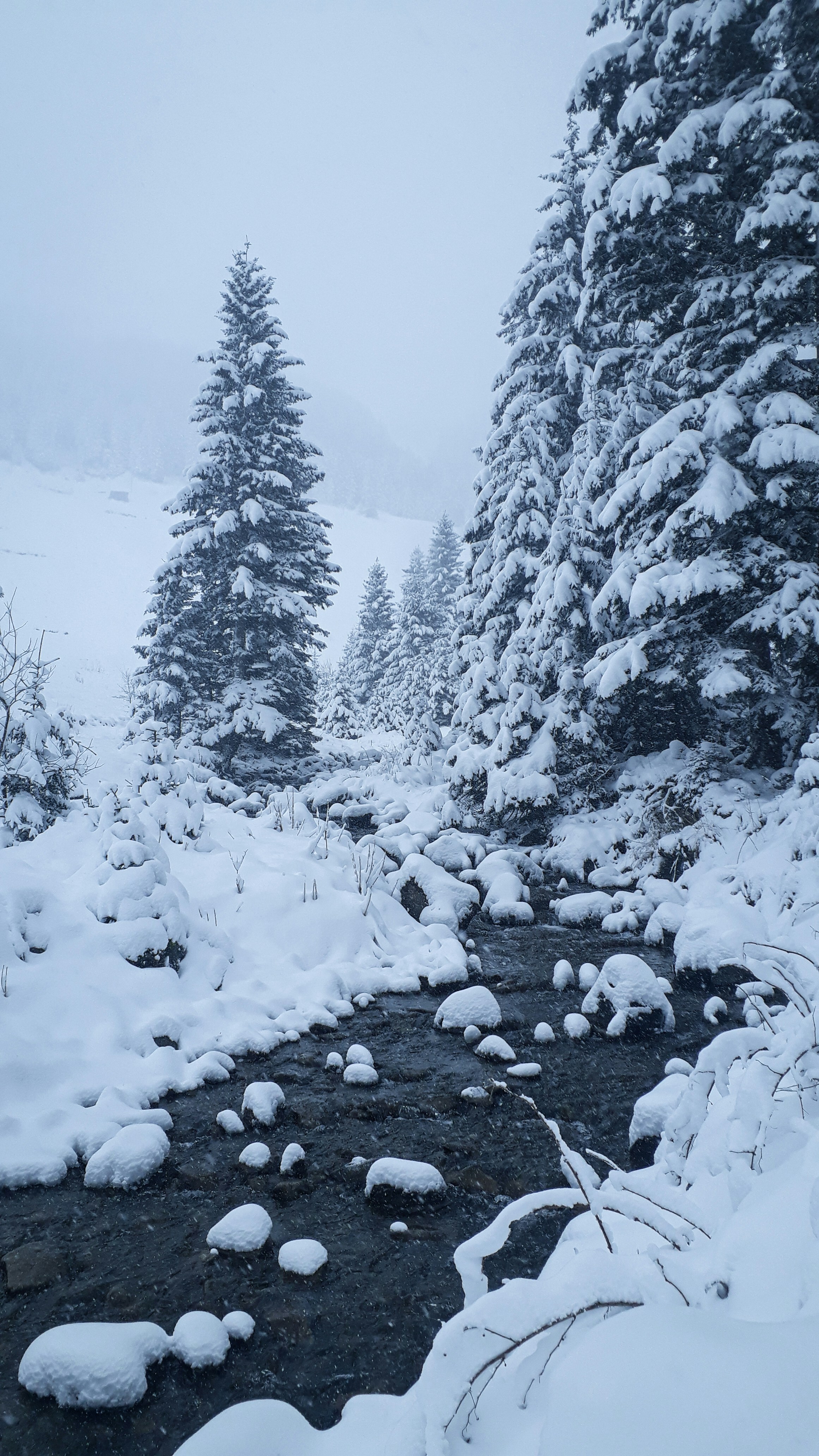 Photo by fatmanursimsek