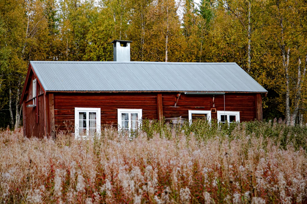 weißes und braunes Holzhaus in der Nähe von grünen Bäumen tagsüber