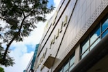 View of a tall building facade with large windows reflecting the sky. A tree branch and streetlight appear in the foreground, casting shadows on the structure. The architectural design features perforated metal panels and a modern aesthetic.