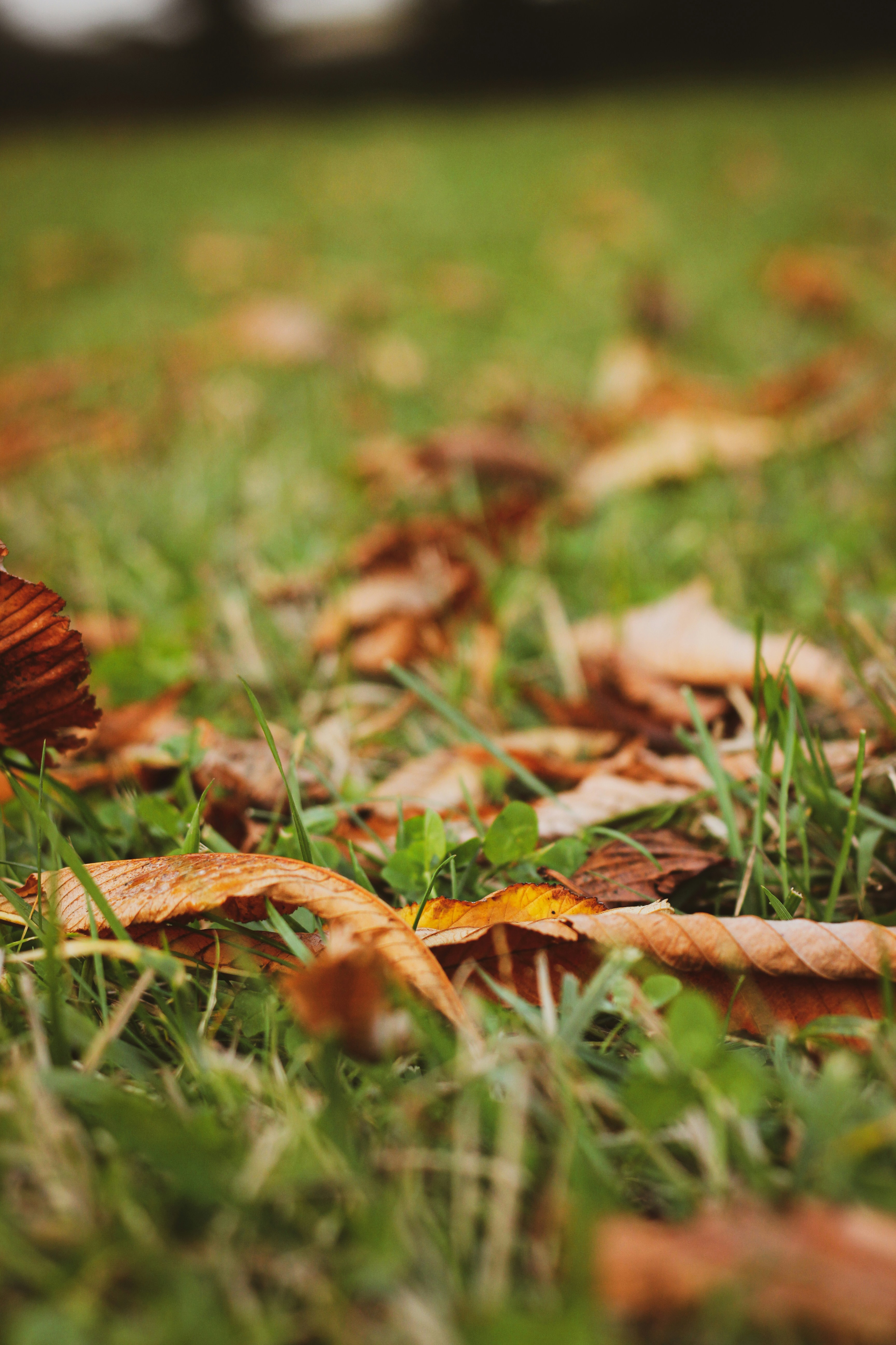 Photo by fatmanursimsek